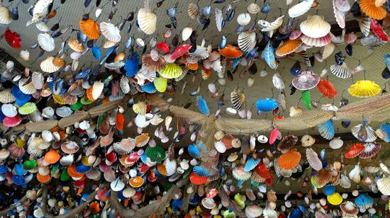Muschelhimmel im Restaurant Lučica