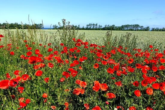 Auf dem Weg zur Teufelsschlucht