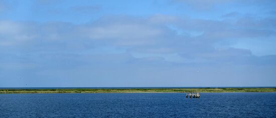 Auf den Pfahlresten war zu DDR-Zeiten ein Wachtposten errichtet