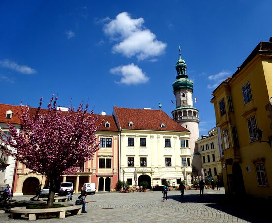 Blick auf den Feuerturm aus dem 13. Jh., der auf Überreste der römischen Stadtmauer gebaut wurde und als Wahrzeichen der Stadt gilt.....da gehts für mich gleich 120 Stufen rauf, lt. Beschreibung 200, die oberen sind gesperrt