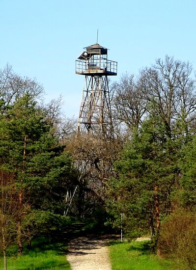 Ein Relikt vergangener Tage im Park