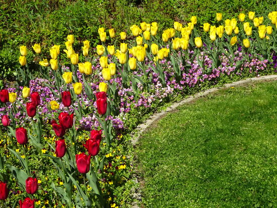 .....Beete mit Frühlingsblühern