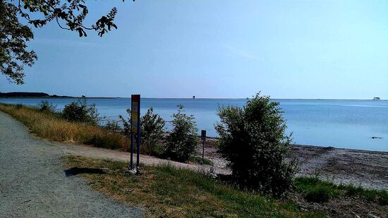 Blick nach links, der Weg führt am Wasser entlang.durch die Natur
