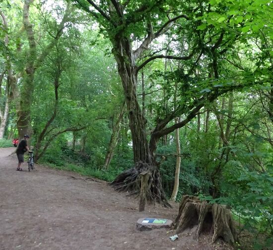 Musste ich fotografieren....