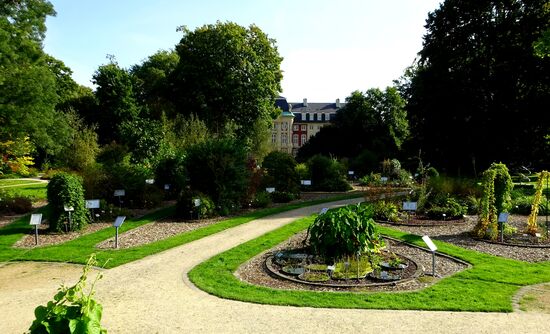 Sehr schön angelegt, alle Pflanzen beschriftet, fleischfressende, ein Beet mit Arzneipflanzen, Kakteenhaus, Mittelmeervegetation, Gewürze, uvm.