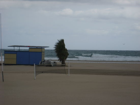Strand in Torratembarra