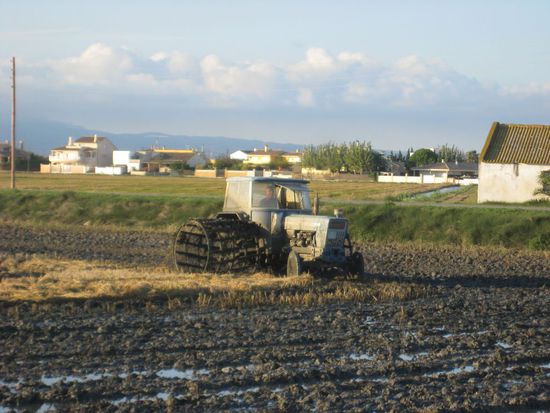 so pflügt man also ein Reisfeld