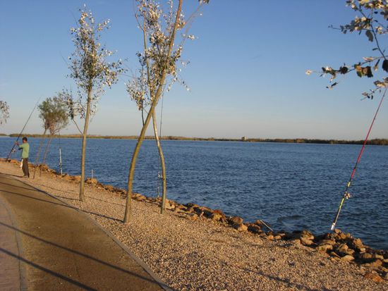 Fischer an der Ebro Mündung