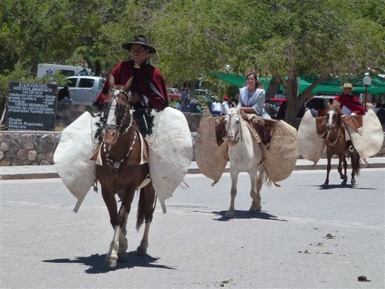 aufmarsch der gauchos.