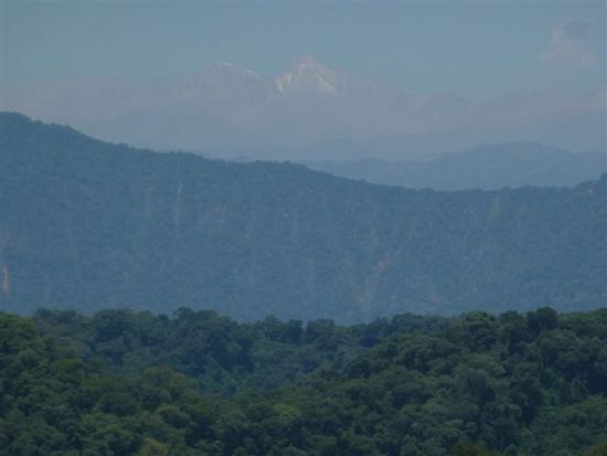pn calilegua von tropischen dschungel bis berg nebelwald.