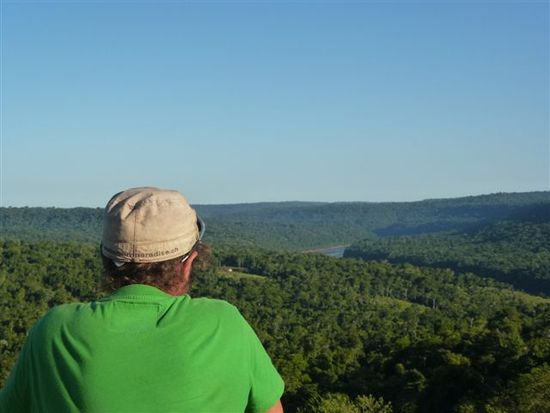 blick auf urwald und brasilien, rio uruguay, pn mocona.