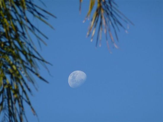 der mond scheint hier am tag, weil er auch die friedliche natur geniessen will.
