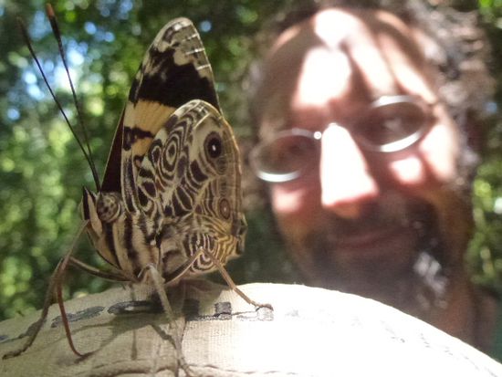 besuch im pn mocona, der schmetterling sass fast 3 stunden auf don schettys muetze...war es wohl eine verzauberte prinzessin?