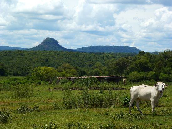 das ist paraguay, einfach schoen laendlich, dahinter der hoechste berg des landes, mehr dazu im naechsten kapitel.