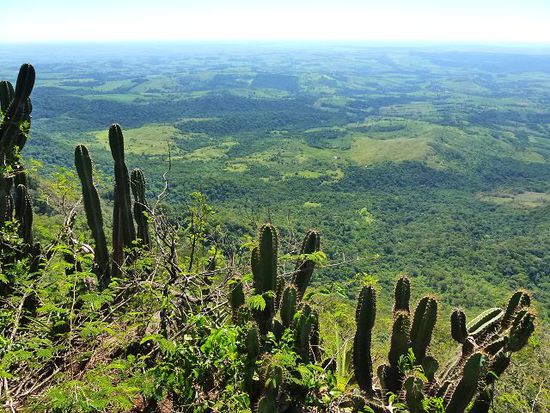 auf dem gipfel ist der blick ueber das flache paraguay fantastisch.