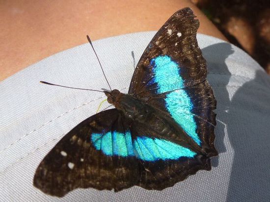 einfach nur sitzen und geniessen, besuch auf ankes bein.