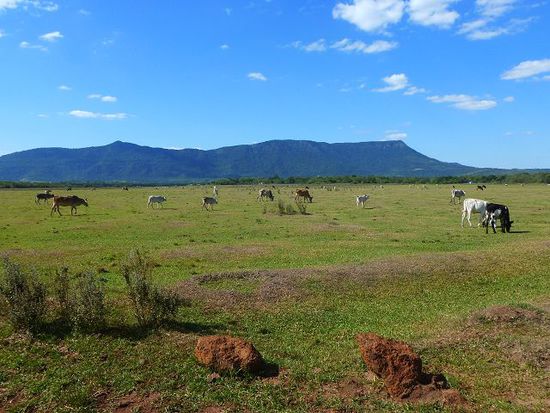 blick zurueck auf den parque nacional yvytyruzu