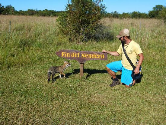 unser animalischer guide fuehrt uns sicher ans ziel.