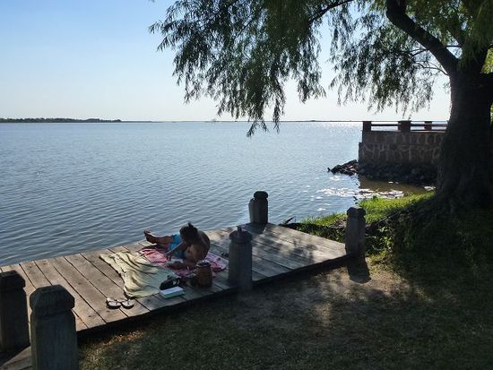eine siesta zwischen den tieren der laguna.