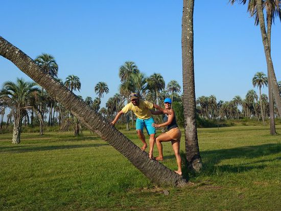 am eingangstor im pn el palmar, weiter kamen wir nicht.