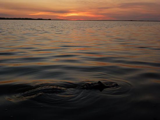 sonnenuntergang im pp ibera...natuerlich mit yagare.