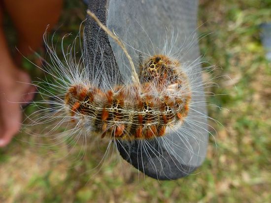 weiterer besuch zum fruehstueck.