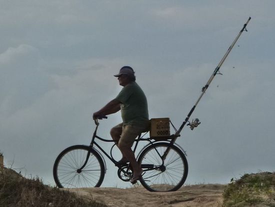 pedlerverkehr in laguna.
