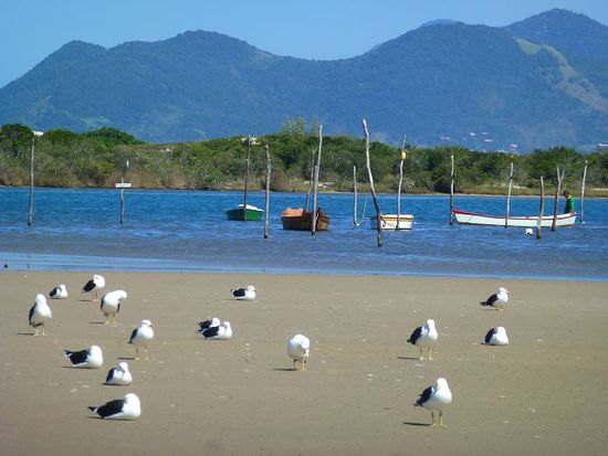 unsere nachbarn in guarda am rio madre.