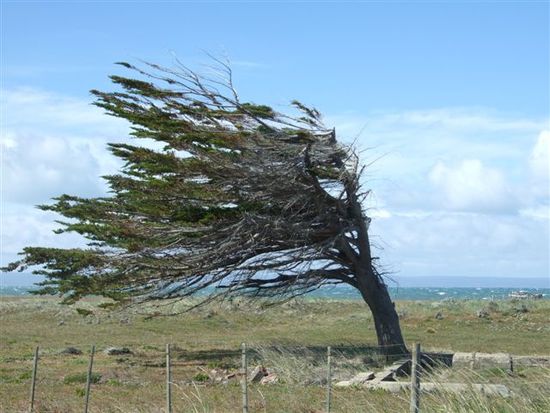 der wind gewinnt nicht immer...