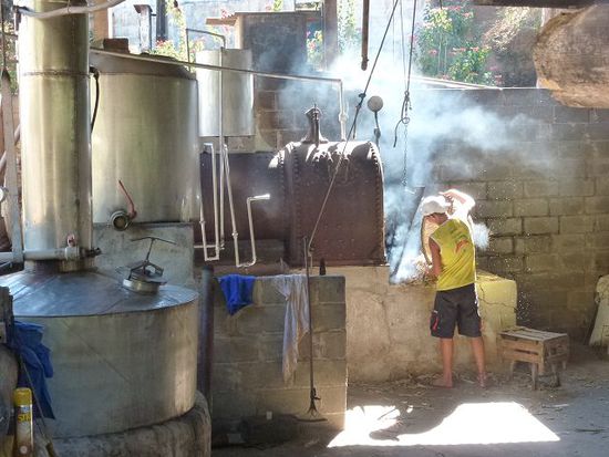 familiaere cachaca produktion in alfredo chavez.