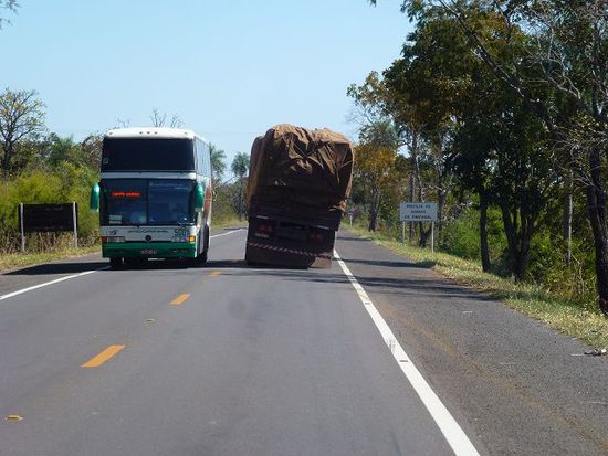 2500 schnurrgerade kilometer in den pantanal.