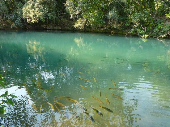 doch zuerst noch die kalte sophie, selbst die fische wollten raus aus dem wasser.