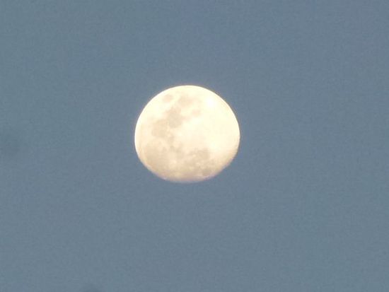 froehlich unterstuetzt vom vollmond.