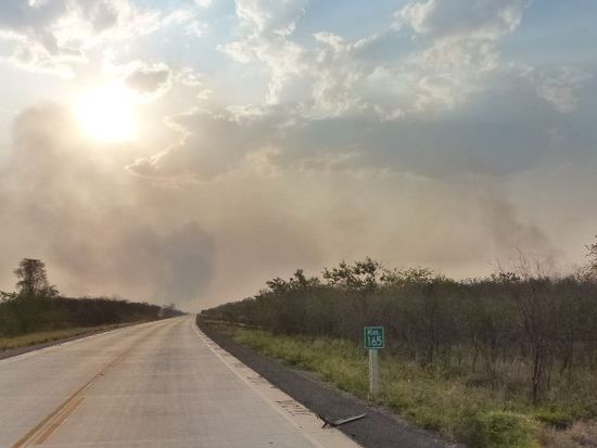 zwischen grenze brasilien und santa cruz sieht es so aus, leider wueten immer wieder waldbraende und zerstoeren grosse flaechen des waldes.