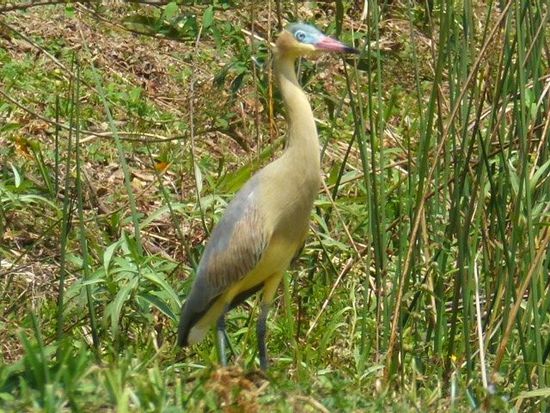 wiedermal unerwarteter besuch vor der haustuere.