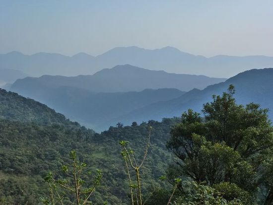 nationalpark carasco.