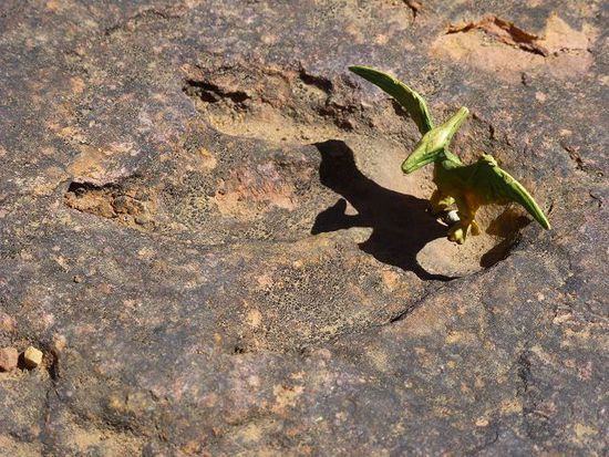 hier spazierten vor millionen jahren flugdinosaurier am strand herum.