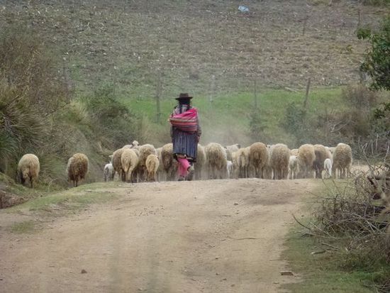 unsere einzige wanderbegleitung, zum teil werden wir wie marsmenschen angeschaut.