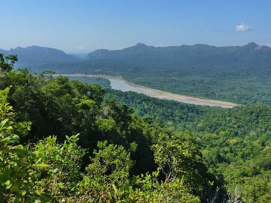 aufstieg zum cerro selva geschafft, blick auf den rio beni im dschungel.