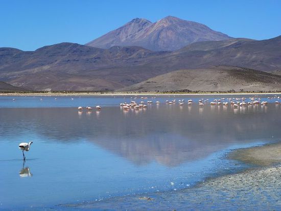 laguna macaya.