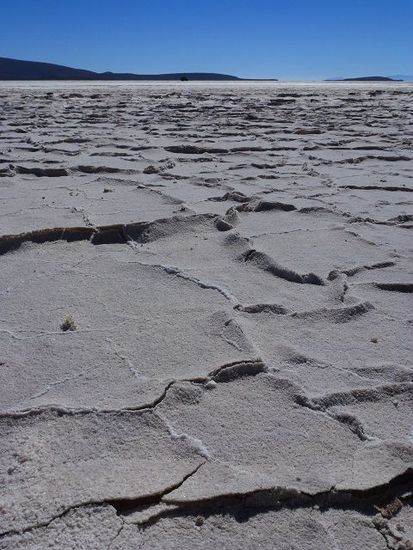 salz bis an den horizont, salar de coipasa.