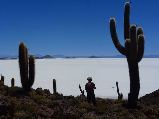isla grande mit cactus grandes.
