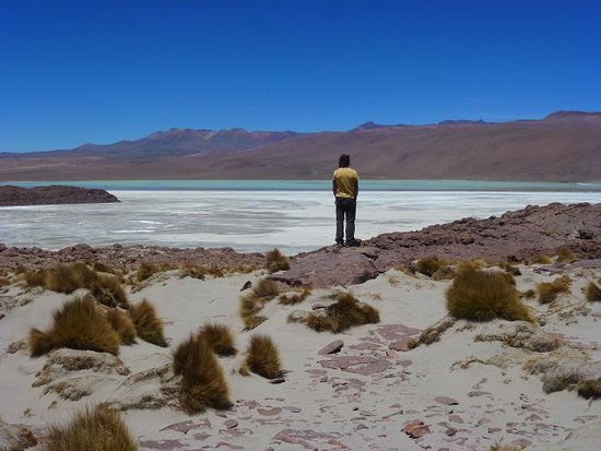 blick auf die naechste salar, chaviri.