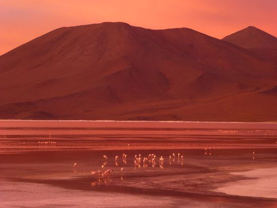 wir haben glueck, die sonne geht als blutroter ball ueber der laguna colorada unter.