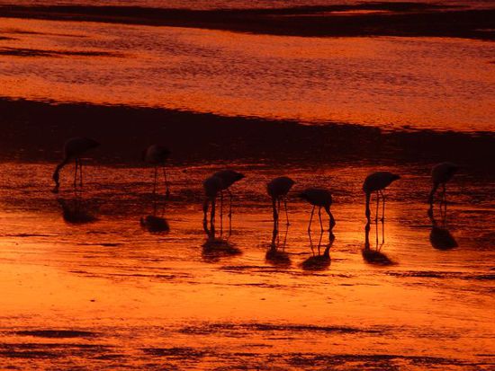 die amigos geniessen noch die letzten stunden in bewegung, danach werden sie fies eingefroren und muessen bis zum sonnenaufgang warten.