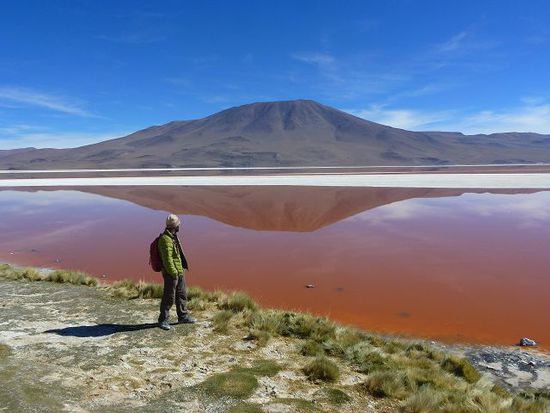 heisst nicht nur so, ist auch farbig, laguna colorada.