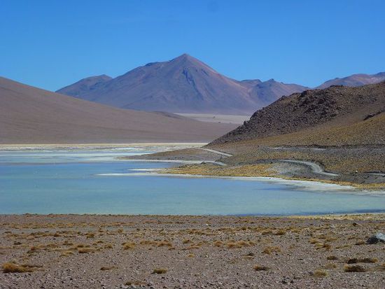 laguna salada mit den flamingos im urlaub.