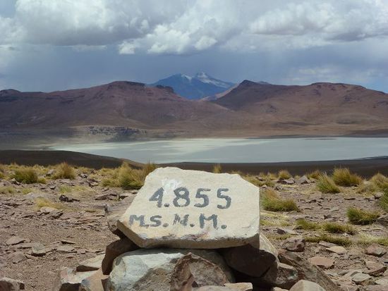 die strasse von quetena nach tupiza bewegt sich grundsaetzlich zwischen 4300 bis 5000 m, wir staunen und schnaufen und schnarchen.