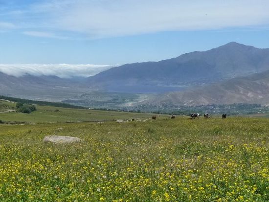 heimatgefuehle im gruenen tafi del valle in der kleinsten provinz argentiniens tucuman.