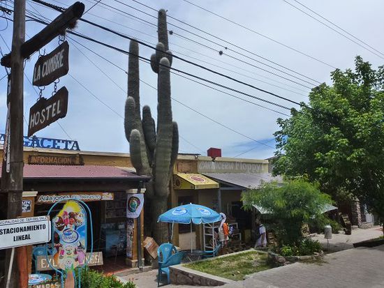 boutiquen, schmucklaeden, delikatessen wie kaese und salami, highsociety beim einkaufen, unglaubliche villen, tafi ist das tourizentrum der tucumanos.